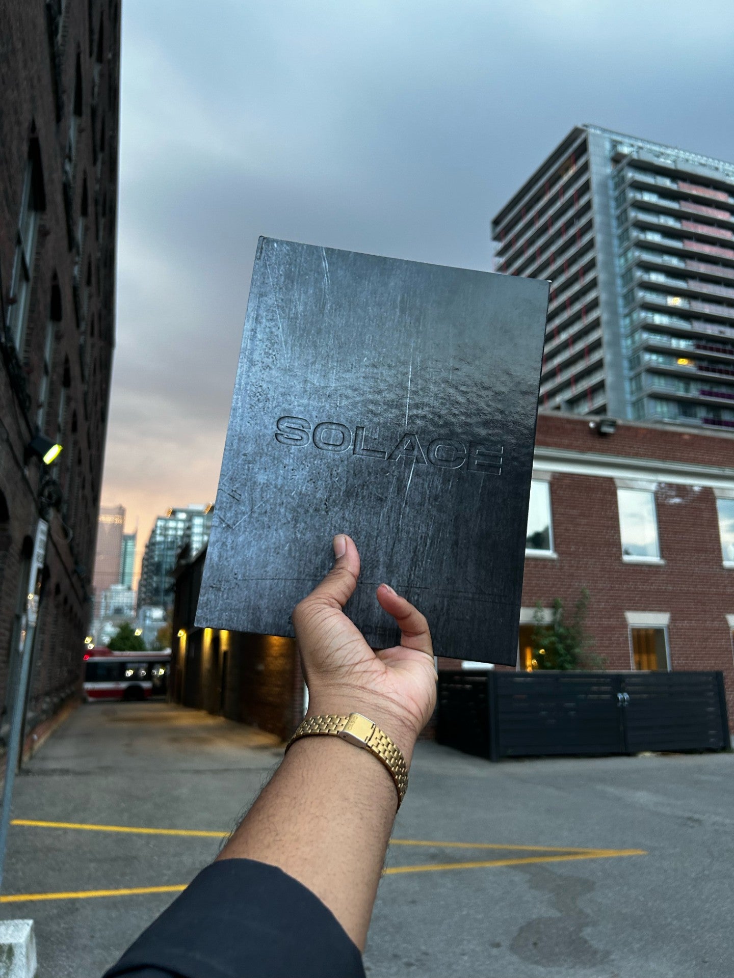 SOLACE BY SHEM ROBINSON