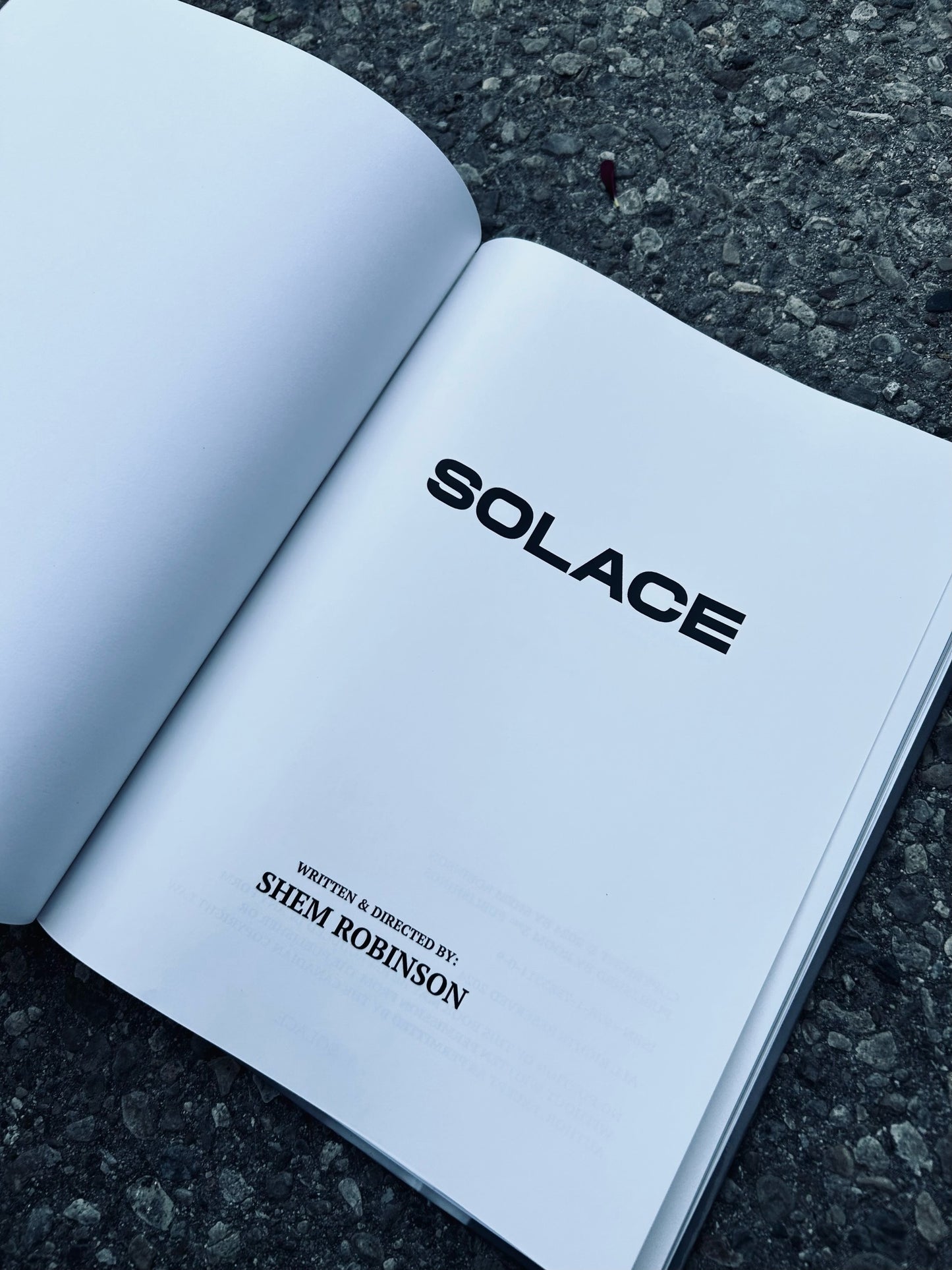 SOLACE BY SHEM ROBINSON